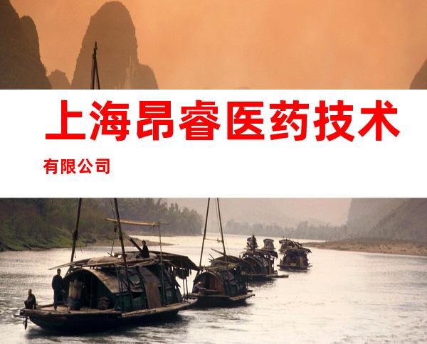 上海昂睿医药技术有限公司